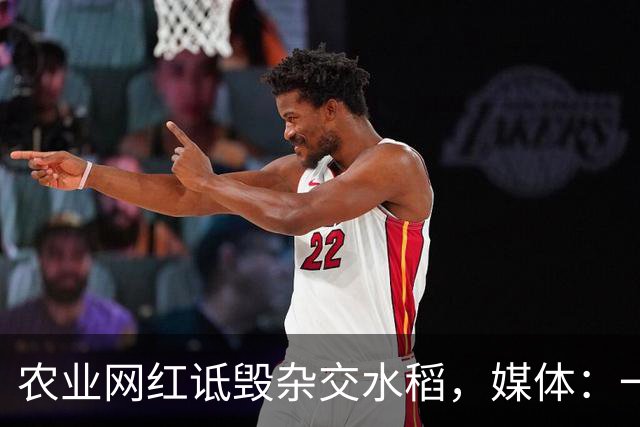 农业网红诋毁杂交水稻，媒体：一些人还是吃得太饱了！