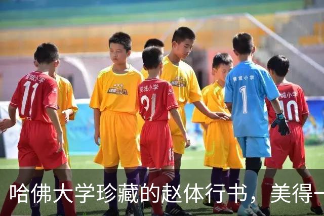 哈佛大学珍藏的赵体行书，美得一塌糊涂，让人不禁要竖大拇哥‍