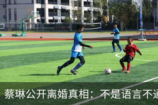 蔡琳公开离婚真相：不是语言不通，喜欢中国生活，自己开车去生娃